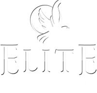 Elite wedding djs